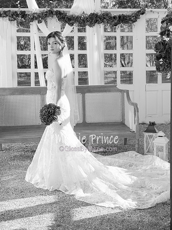 IMG_4900bw
