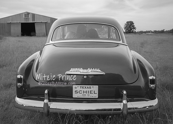 IMG_0066 SCHIELbw