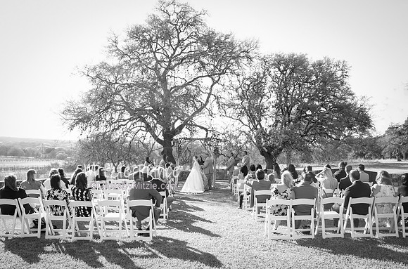 IMG_0266bw