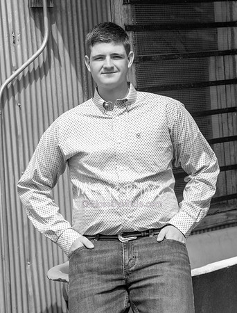 IMG_0663bw