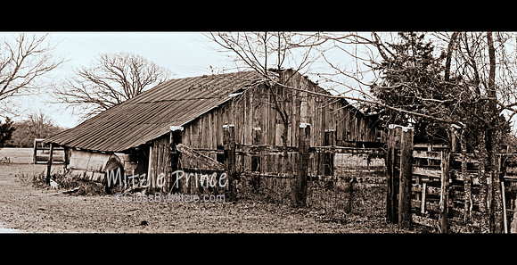 Barn